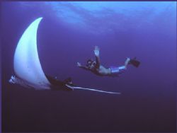 ballet of the ocean by Fiona Ayerst 